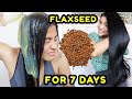 I tried FLAXSEED GEL on my hair for 7 DAYS & THIS HAPPENED! *before & after results*