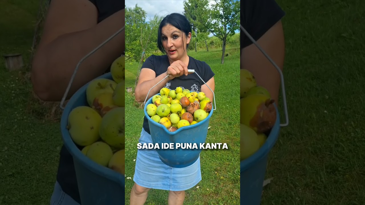 Что Делать с Опавшими Яблоками в Саду?