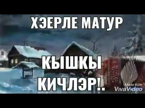 Видео: Навчит булгийг хэрхэн шалгах вэ?