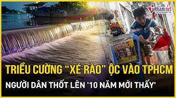 Sững sờ cảnh tượng lạ ở TPHCM: Triều cường "xé rào" tràn vào thành phố, "biển nước" nhấn chìm tất cả