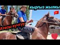 Барстан тараган 🐎Камбарга келди АСЫЙ 👍