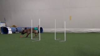 Helmi Kepit 1 3.11.2017