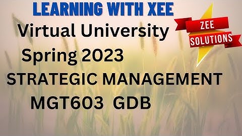 MGT603 GDB spring 2023 virtual University of pakistan