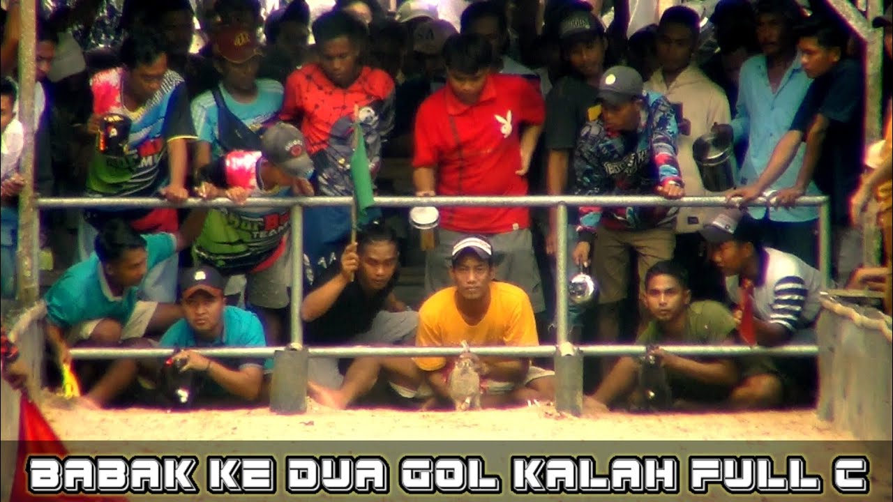 Babak ke dua golongan kalah full C kerapan KELINCI di Bangkalan campor!!