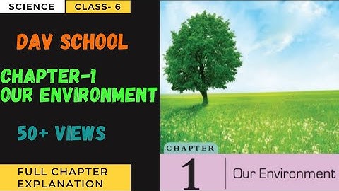 Chapter- 1 Our Environment Class-6 science DAV School