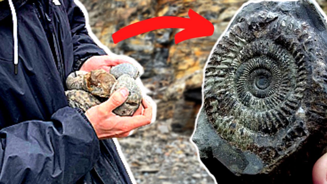 Fossil Hunters Dream! - Cliff Collapse leads to Epic Ammonite Discovery