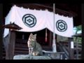 日本と月の繭は神 日本と月の繭は神