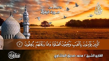 خلفية قرآن كريم للمونتاج HD بدون الآيات واسم الشيخ والسورة