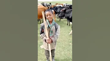 Caalaa Daggafaa Music By Bilillee Entertainment Subscribe Official YouTube Channel 