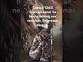 Oración por la restauración