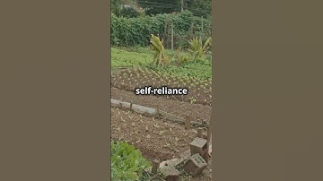 creating resilient communities starts with us #selfreliance #resilience #communityimpact #shorts