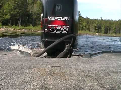 200 hp mercury motor