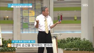 좋은 아침 130830 다시보기 #1(9)