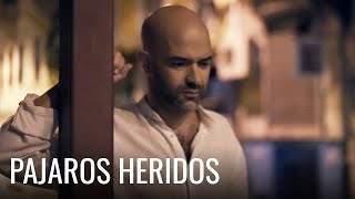 Murat Evgin - Pajaros Heridos (Official Music Video)