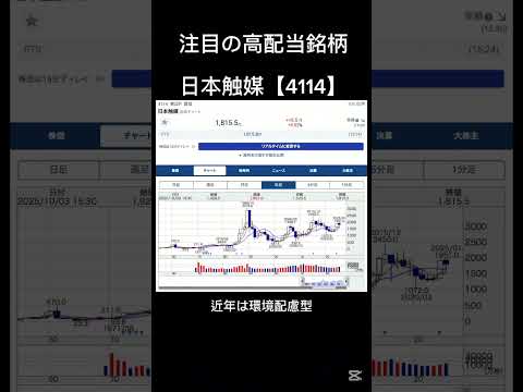 日本触媒　【4114】　NIPPON SHOKUBAI CO., LTD.　高配当銘柄　利回り　投資　高配当株　優待　日本株　投資　積立NISA
