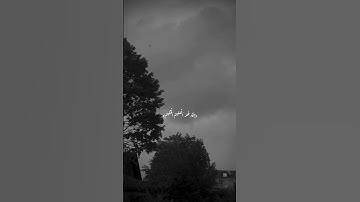 سورة يوسف /قرآن كريم 💙 #المصحف #قران_كريم