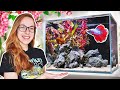 Making a spring betta fish tank with red plants