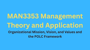 MAN3353: Management Theory and Application- POLK Framework and Mission, Vision, Value Statements