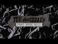 Tee Grizzley - Lions & Eagles (feat. Meek Mill) [Lyric Video]