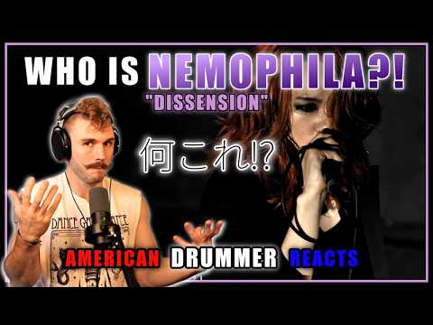 🇯🇵 NEMOPHILA –「Dissension」| アメリカ人ドラマー初見リアクション 🤯