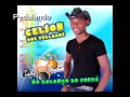 Celson Dos Teclados No Balanço Do Forró Vol.4 Parte 3