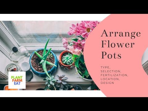 Comment organiser des pots de fleurs selon le type de plante