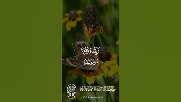 سورة سبأ ( قُلۡ إِنَّ رَبِّي يَبۡسُطُ ٱلرِّزۡقَ لِمَن يَشَآءُ )