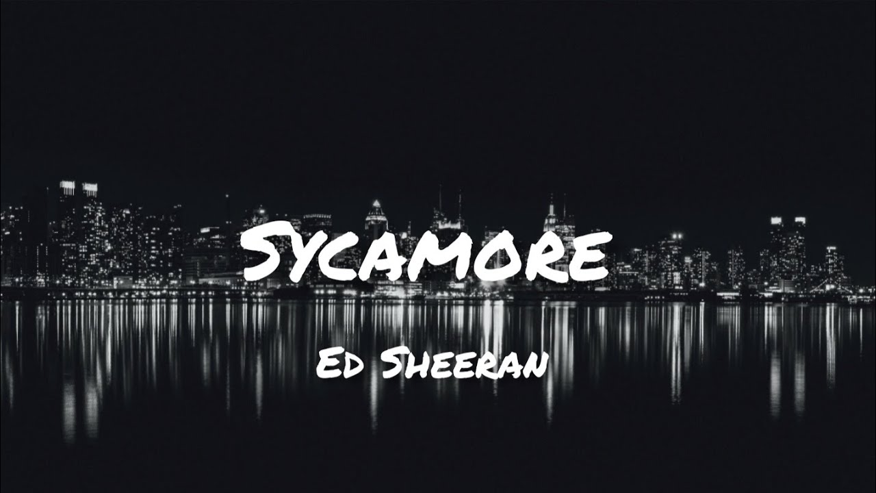 Ed Sheeran Sycamore Lyrics (DLyrics01) YouTube