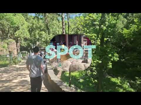 I Climbed China's Most Sacred Mountain – Mount Tai (Taishan) | 五嶽獨尊