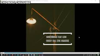 SOULTRONIXX FEAT LEBO - FREELY FALL ( THOMAS CHILUME REMIX )