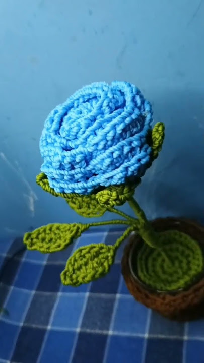 hasil dari gabisa tidur, dan terciptalah mawar biru mana cocok banget sama lagunya iu 😍🥳 #crochet