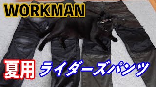 WORKMAN ワークマン 夏用ライダーズパンツの紹介