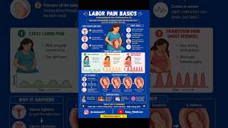 Labor pain Basic🤰🤕#laborpain #pregnancy #pregnancycare #medicaleducation #medico #womenshealth#facts