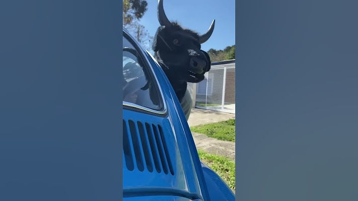 Boi da cara preta roubou o fusca do vovô! E a gente ainda estava dentro!!
