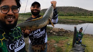Fishaholic Giant Hunt Reel का असली टेस्ट | Snakehead Fishing में कैसा रहा Performance? 🔥