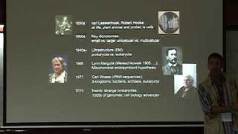 Mukund Thattai - Eukaryotic intracellular traffic networks