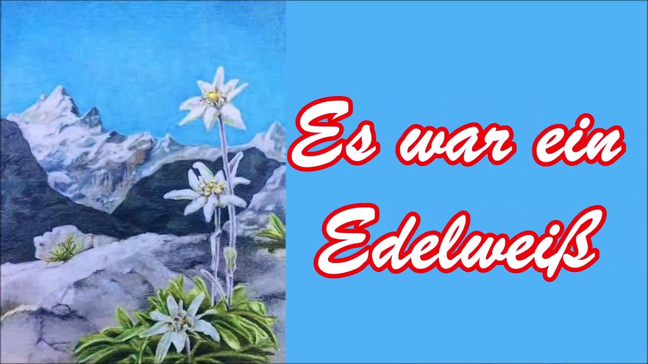 Es war ein Edelweiß - Gebirgsjäger Bad Reichenhall/German Mountain Troops Song + English Subtitles Es war ein Edelweiß - Gebirgsjäger Bad Reichenhall/German Mountain Troops Song + English Subtitles