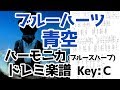 LV.38 ブルーハーツ「青空」(Key:C) ハーモニカ ドレミ楽譜＆ギター コード。