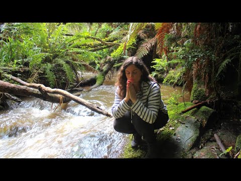 ASMR Reiki na Cachoeira para Limpeza Energética Profunda