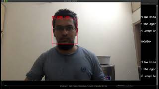 Face Mask Detector in Python Using Machine Learning