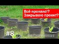 ОГОРОД ПОГИБ!? Закрываю проект?