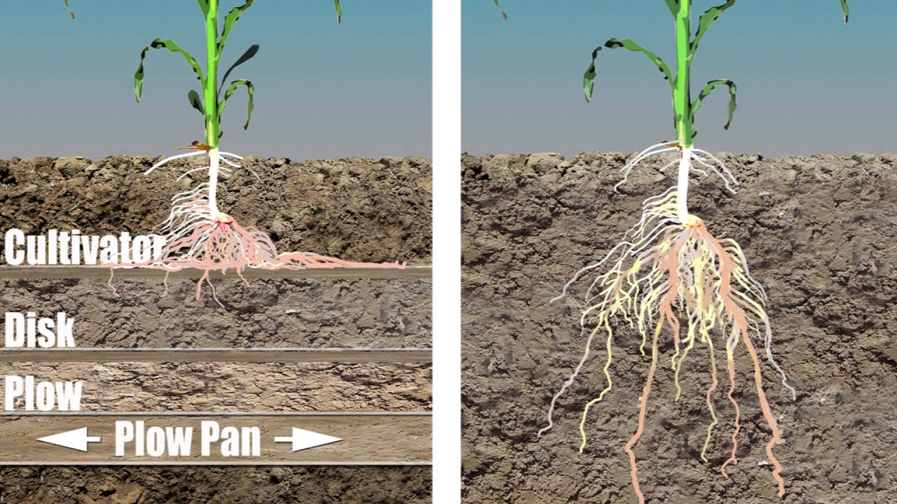 Принципы вертикальной почвообработки /Vertical Tillage Principles YouTube