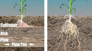 Принципы вертикальной почвообработки /Vertical Tillage Principles