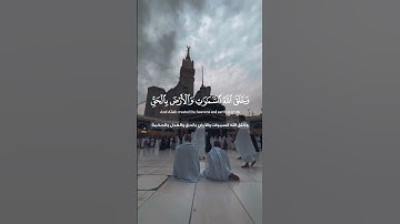 أكتب شئ تؤجر عليه | #سورة_الجاثية #ياسر_الدوسري