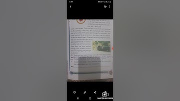 From the Window( Questions )