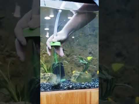 Video: Tangki Biotope: Apa yang Mereka dan Bagaimana Anda Menumbuhkan Satu?