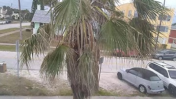 Having why texture Hack CPU Mii Characters Canceled This Yesterday