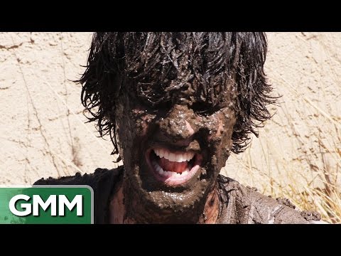 Taking a Dust Bath - Experiment