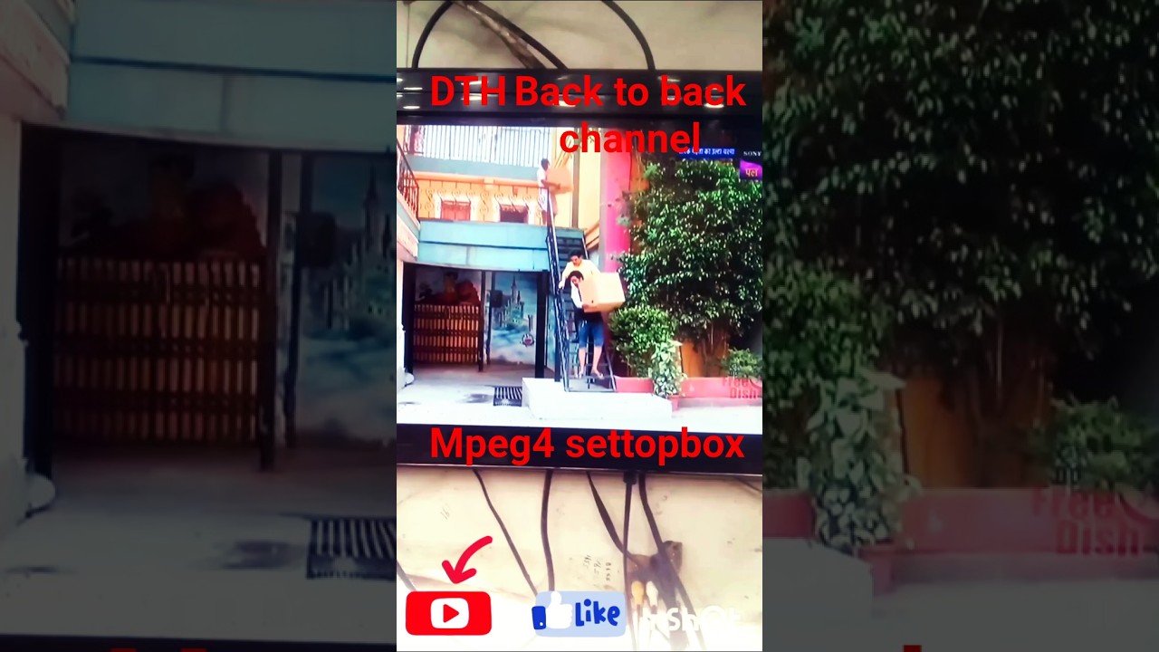 dth back to back channel mpeg4/ dd free dish/settopbox 