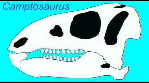 PL2_ORNITHISHIANS_LAMBEOSAURINAE